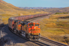 2024 BNSF COLOR CALENDAR