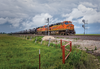 2024 BNSF COLOR CALENDAR