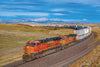 2026 BNSF COLOR CALENDAR