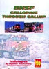 BNSF GALLOPING THROUGH GALLUP DVD