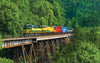 2026 NORFOLK SOUTHERN COLOR CALENDAR