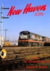 NEW HAVEN IN COLOR - VOL 2: THE STRUGGLE FOR SURVIVAL/Doughty