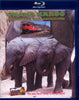 TRANS KAROO-AN AFRICAN RAIL ADVENTURE    BLU-RAY