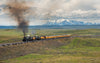 2020 UNION PACIFIC COLOR CALENDAR